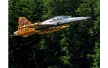 La Ferté Alais 2010