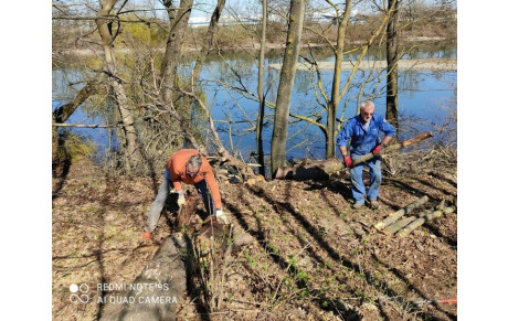 Nettoyage des branches au plan d'eau